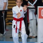 Wiener Karate Meisterschaft 2025