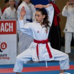 Wiener Karate Meisterschaft 2025