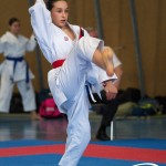 Wiener Karate Meisterschaft 2025