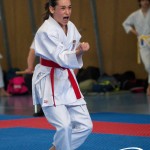 Wiener Karate Meisterschaft 2025