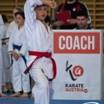 Wiener Karate Meisterschaft 2025