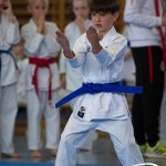 Wiener Karate Meisterschaft 2025