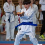 Wiener Karate Meisterschaft 2025