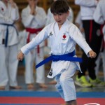 Wiener Karate Meisterschaft 2025