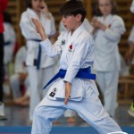 Wiener Karate Meisterschaft 2025