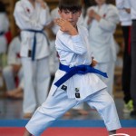 Wiener Karate Meisterschaft 2025