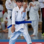 Wiener Karate Meisterschaft 2025