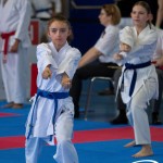 Wiener Karate Meisterschaft 2025