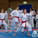 Wiener Karate Meisterschaft 2025