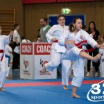 Wiener Karate Meisterschaft 2025