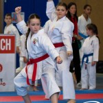 Wiener Karate Meisterschaft 2025