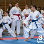 Wiener Karate Meisterschaft 2025