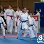 Wiener Karate Meisterschaft 2025