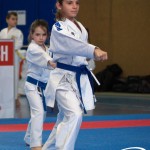 Wiener Karate Meisterschaft 2025