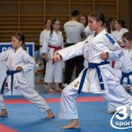 Wiener Karate Meisterschaft 2025