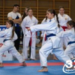 Wiener Karate Meisterschaft 2025