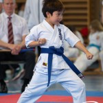 Wiener Karate Meisterschaft 2025