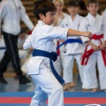 Wiener Karate Meisterschaft 2025