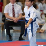 Wiener Karate Meisterschaft 2025