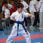 Wiener Karate Meisterschaft 2025