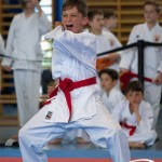 Wiener Karate Meisterschaft 2025