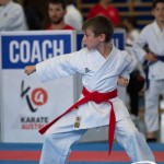 Wiener Karate Meisterschaft 2025
