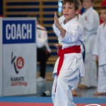 Wiener Karate Meisterschaft 2025