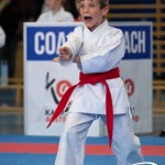 Wiener Karate Meisterschaft 2025