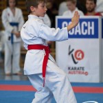 Wiener Karate Meisterschaft 2025