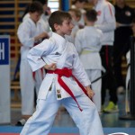 Wiener Karate Meisterschaft 2025
