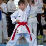 Wiener Karate Meisterschaft 2025