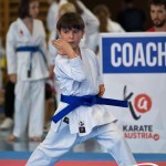Wiener Karate Meisterschaft 2025