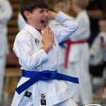 Wiener Karate Meisterschaft 2025