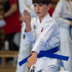 Wiener Karate Meisterschaft 2025