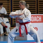 Wiener Karate Meisterschaft 2025