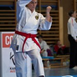 Wiener Karate Meisterschaft 2025