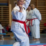 Wiener Karate Meisterschaft 2025