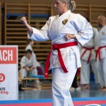 Wiener Karate Meisterschaft 2025