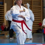 Wiener Karate Meisterschaft 2025