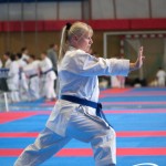 Wiener Karate Meisterschaft 2025