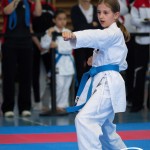 Wiener Karate Meisterschaft 2025