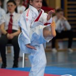 Wiener Karate Meisterschaft 2025