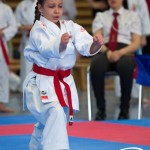 Wiener Karate Meisterschaft 2025