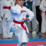 Wiener Karate Meisterschaft 2025