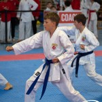 Wiener Karate Meisterschaft 2025