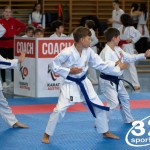 Wiener Karate Meisterschaft 2025