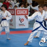 Wiener Karate Meisterschaft 2025