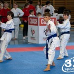 Wiener Karate Meisterschaft 2025