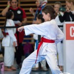 Wiener Karate Meisterschaft 2025