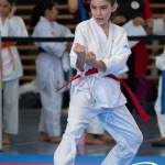 Wiener Karate Meisterschaft 2025